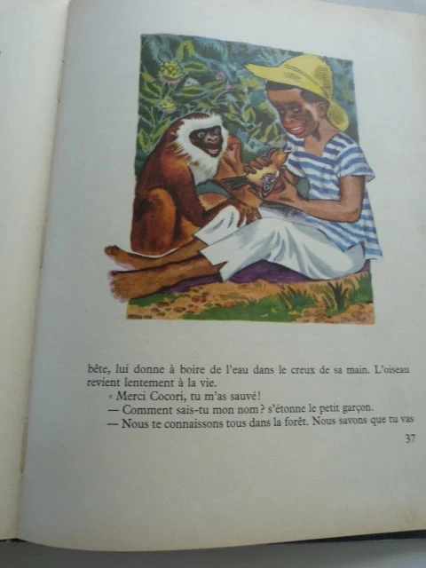 cocori – photo 3